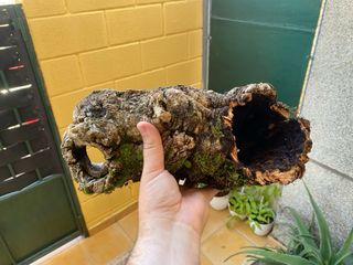 Tronco Cueva para Reptiles