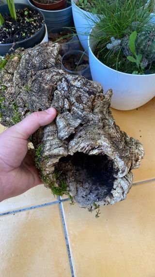 Tronco Cueva para Reptiles