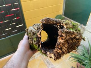 Tronco Cueva para Reptiles