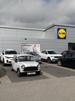 MINI CLASICO