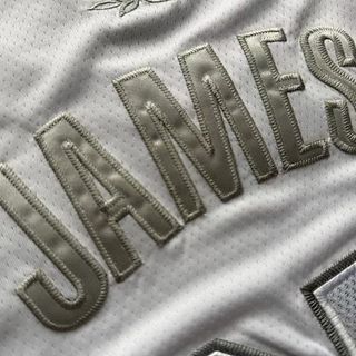 Camiseta Baloncesto Lakers 23 James