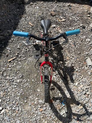 Bicicleta infantil con ruedines