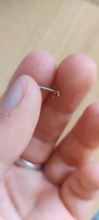 Piercing de oro diseño arco de espinas de Junipurr