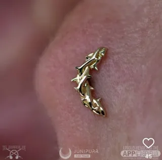Piercing de oro diseño arco de espinas de Junipurr