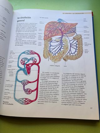 Compact Knowledge : The Body