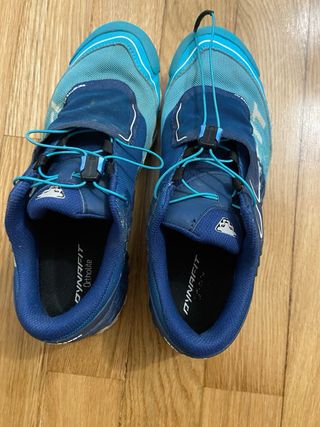 Zapatilla trail Dinafit feline.