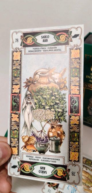 Tarot Celta - Libro y Cartas