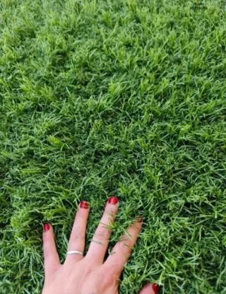 Césped artificial reciclado