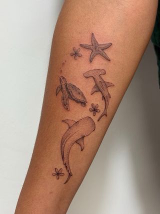 Micropigmentación de cejas y tatuajes GANDÍA