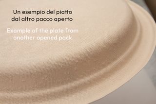 100 Piatti Compostabili Canna da Zucchero