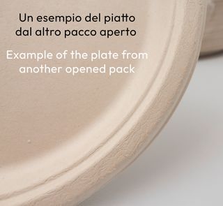 100 Piatti Compostabili Canna da Zucchero