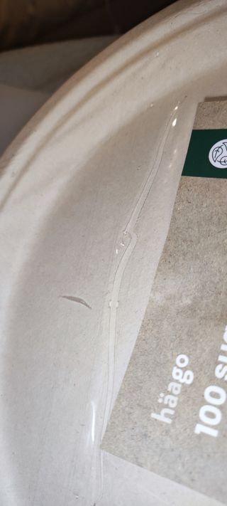 100 Piatti Compostabili Canna da Zucchero