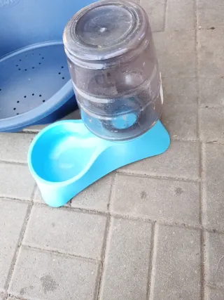 Cama y bebedero para perro