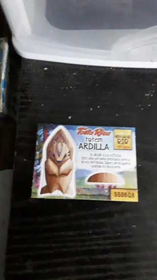 3Cromo Totem Hermano Oso Disney