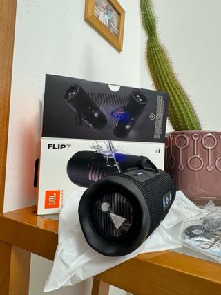 JBL Flip 7 Bluetooth Speaker