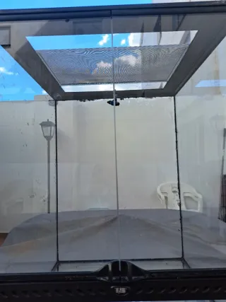 Terrario completo para reptiles