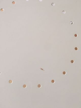 Mesa y 2 Sillas Plegables