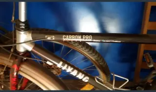 Bicicleta Carbono Pro Liyang Ligera