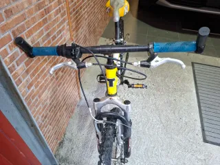 Bicicleta Infantil TPX 20 Pulgadas