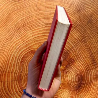 Harry Potter E la Pietra Filosfale PRIMA STAMPA