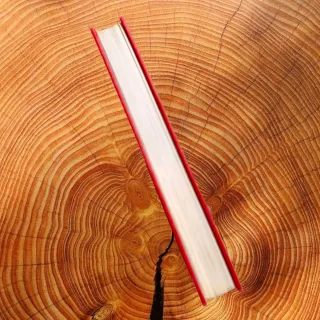 Harry Potter E la Pietra Filosfale PRIMA STAMPA