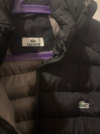 Cazadora Lacoste Negra Hombre