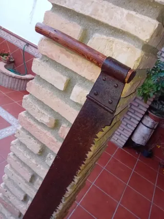 Sierra de tronzar antigua 1,4 metros