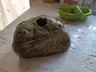 Cueva Casa Reptiles Exo Terra Beige