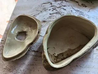 Cueva Casa Reptiles Exo Terra Beige