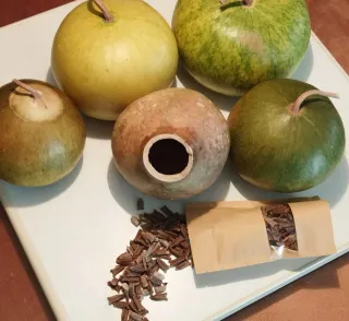 Semillas de lagenaria sicenaria"calabaza africana