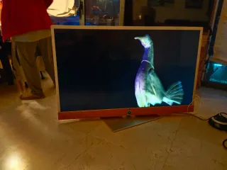 Televisor Loewe Connect ID 55 3D LED