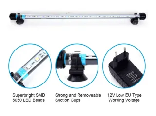 Kit Nano Acquario Dennerle 11L + Filtro + LED RGB