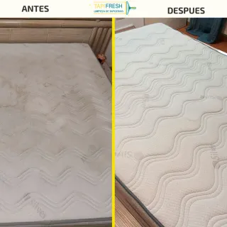 Limpieza de tapicería sofá colchón alfombra