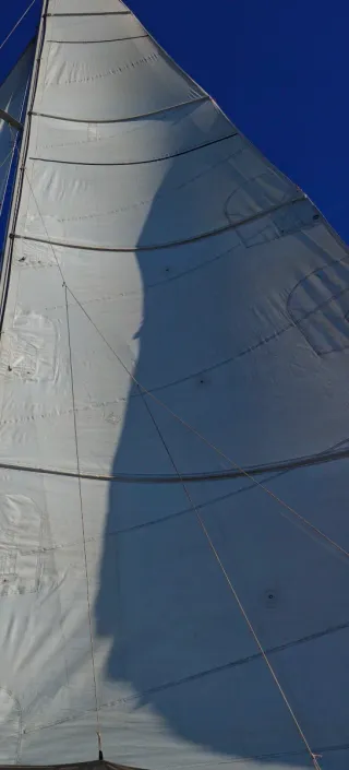 Vela mayor full batten