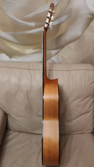 Guitarra Flamenca Clásica