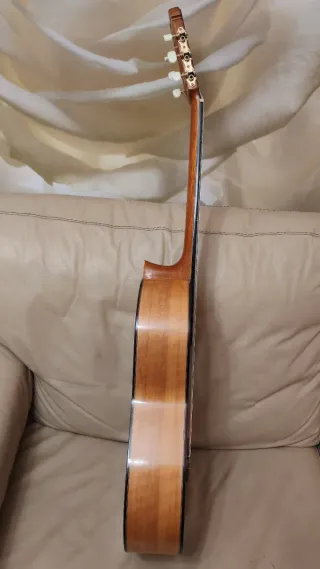 Guitarra Flamenca Clásica