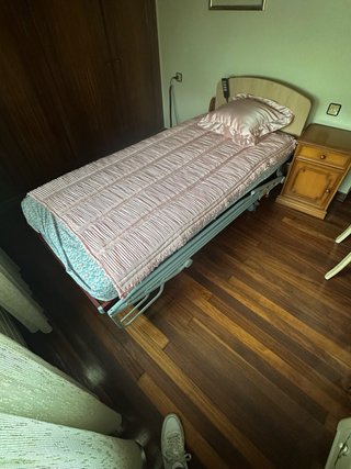 Cama articulada con colchón