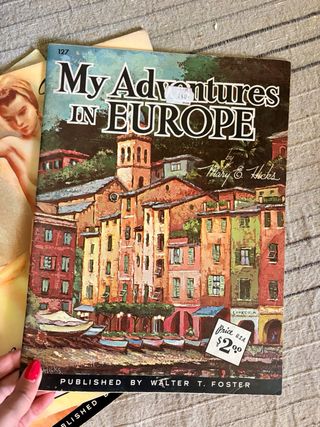 LOTE 6 MANUALES DE DIBUJO Y PINTURA