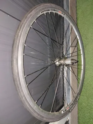 Rueda Ambrosio WS 23 Bianchi carretera