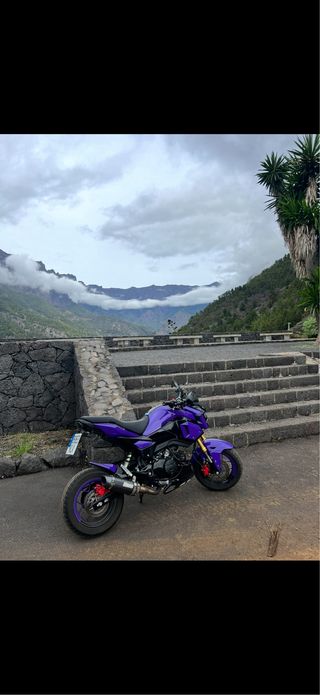 Honda MSX Morada y Negra