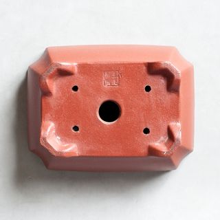 Maceta Bonsai China - YIXING - 16cm