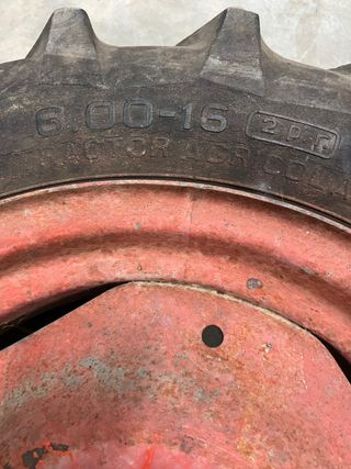 Rueda Pasquali 6.00-16