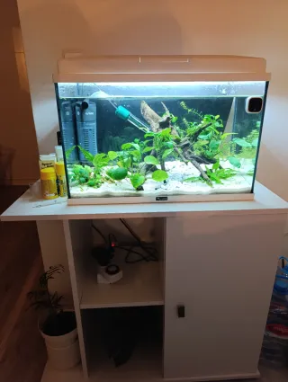 Acuario con mueble blanco