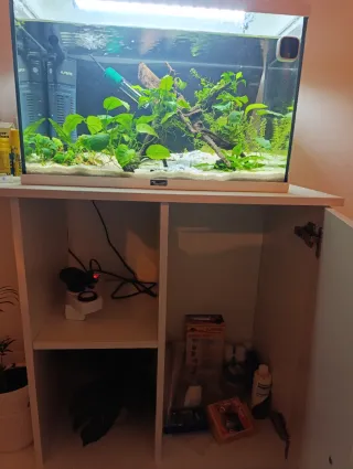Acuario con mueble blanco
