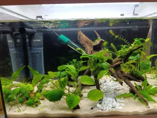 Acuario con mueble blanco