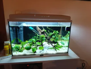 Acuario con mueble blanco