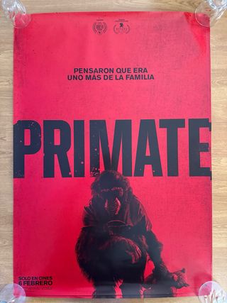 Póster Película Primate 70x100