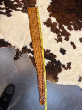 Cintura in pelle di coccodrillo pezzo unico