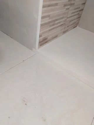 Cambio de plato de ducha.