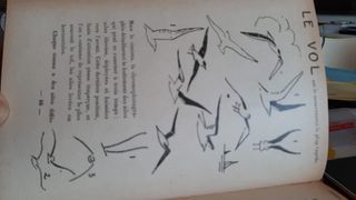 Libro Les Cent Petit Métiers Du Dessin